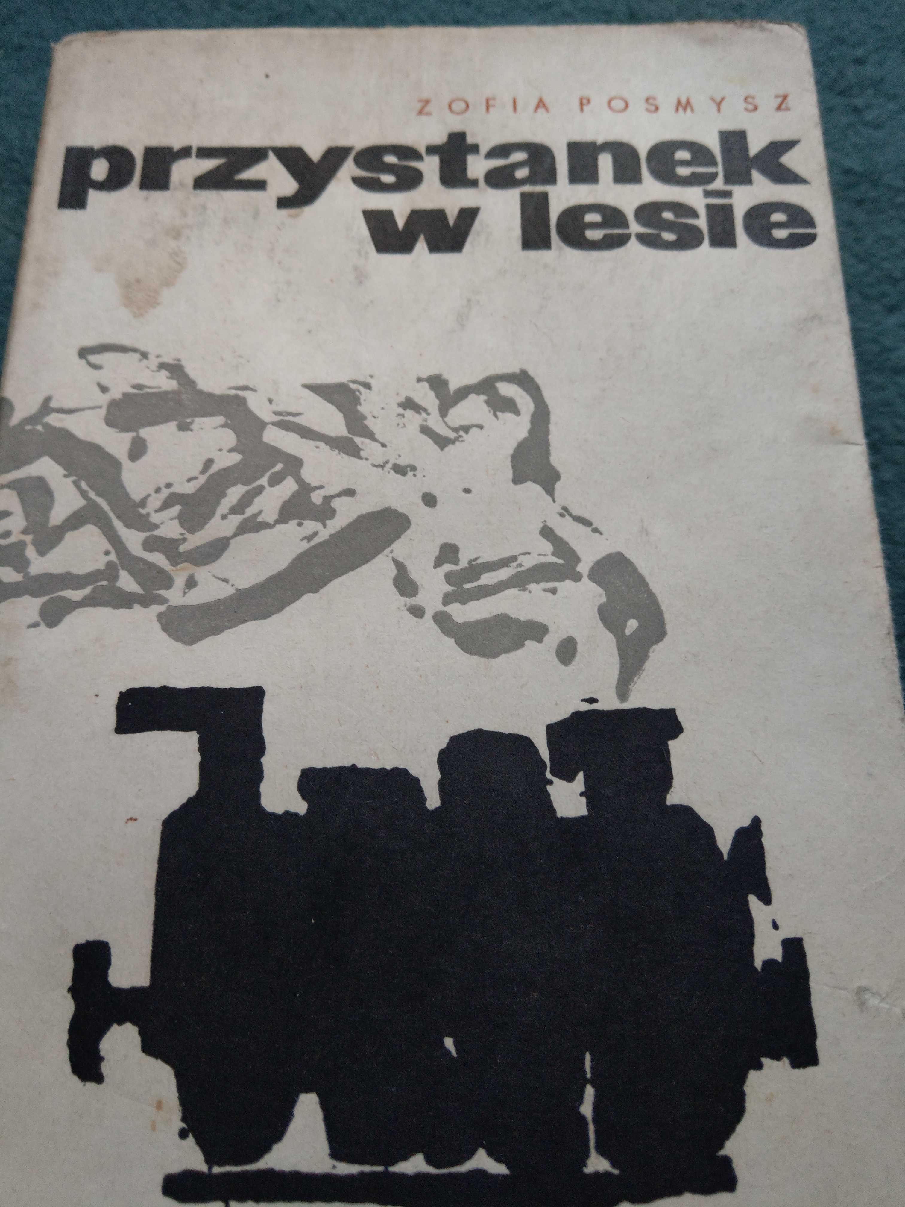 "Przystanek w lesie" Zofia Posmysz