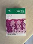 Sobotta- fiszki z histologii