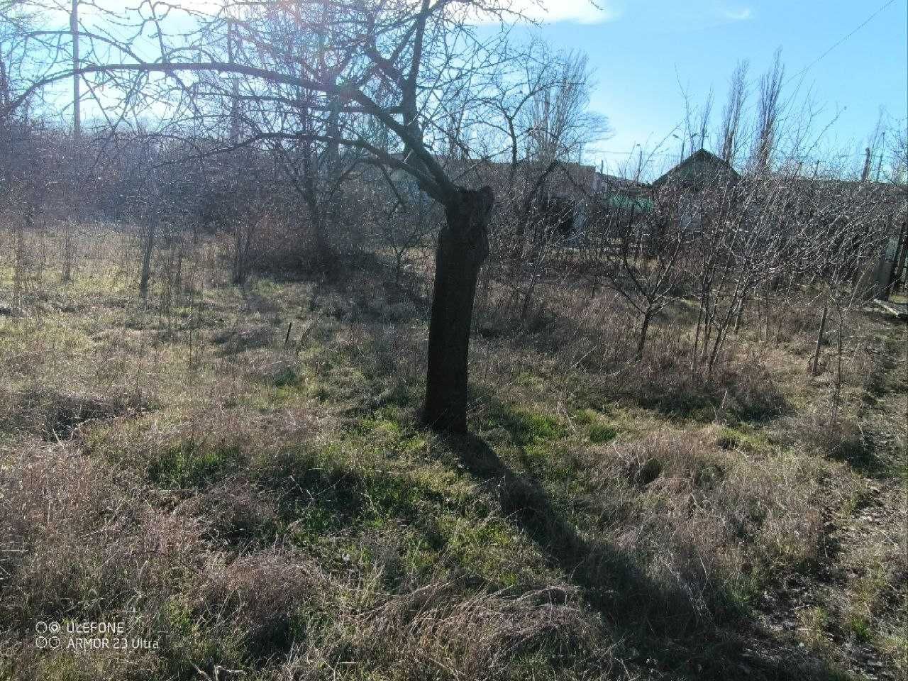 Продается дача Центрально-городской район (район Молокозавода)