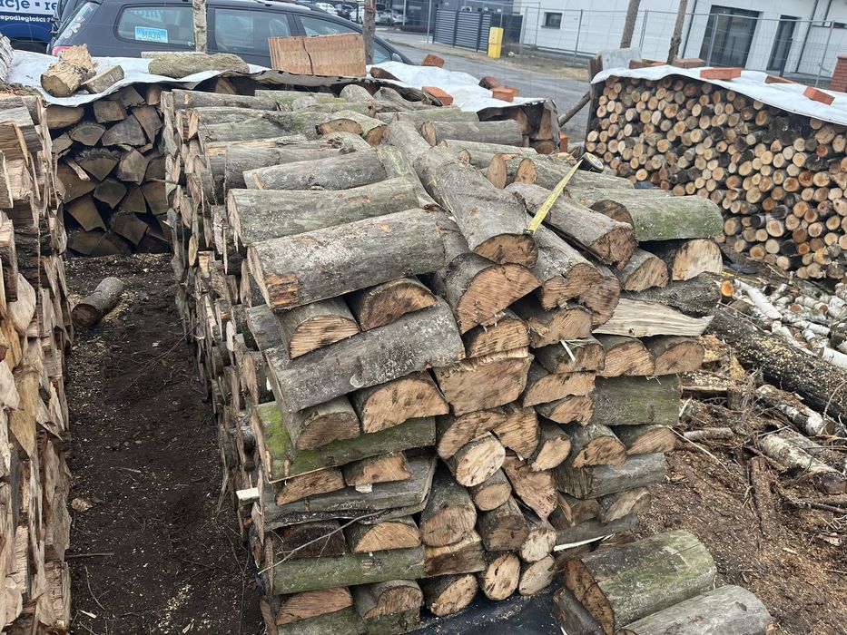 Drewno kominkowe  Akacja vsGrab Jesion Buk Dab Brzoza Sosna