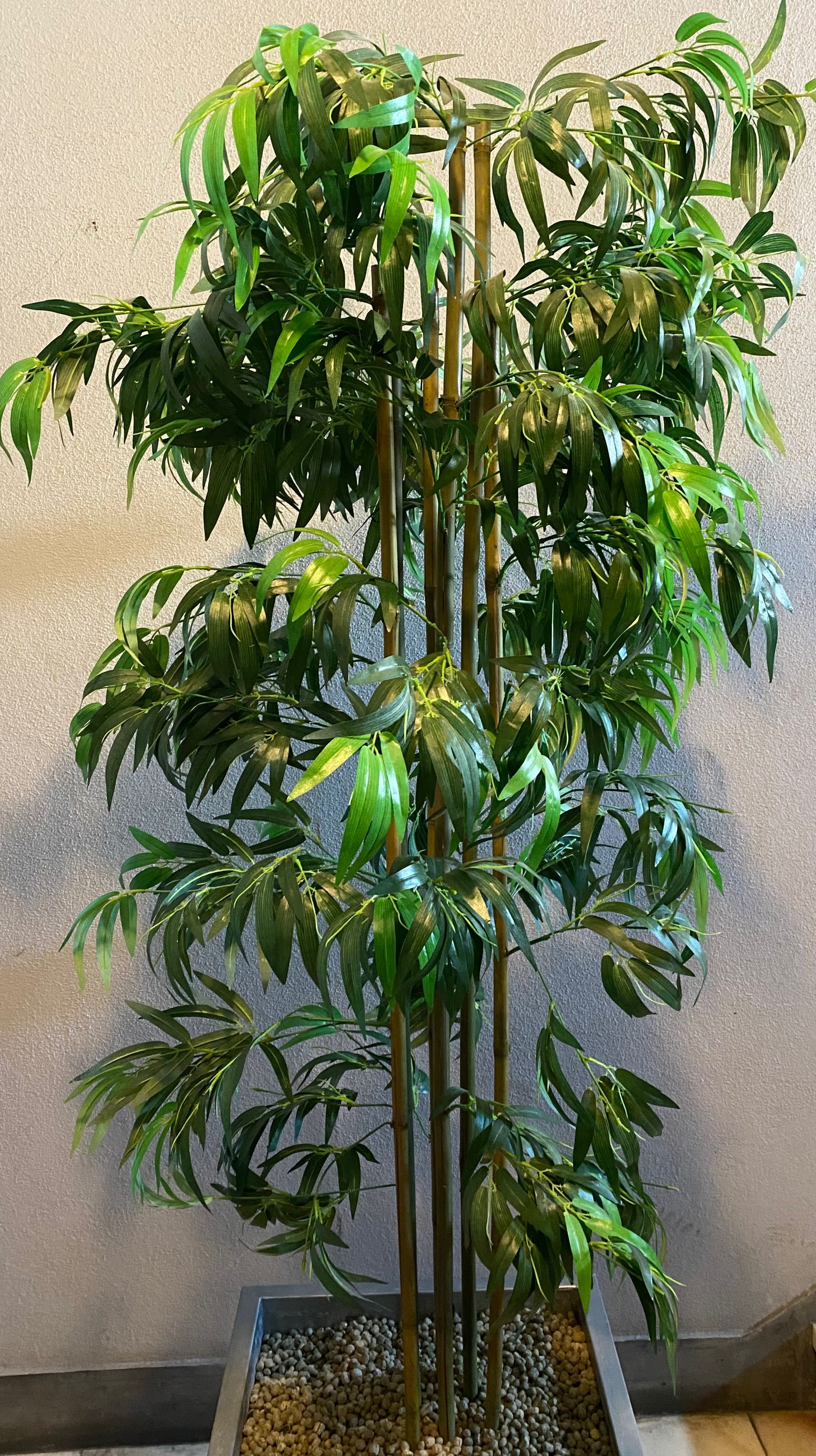 Bambu decorativo com vaso
