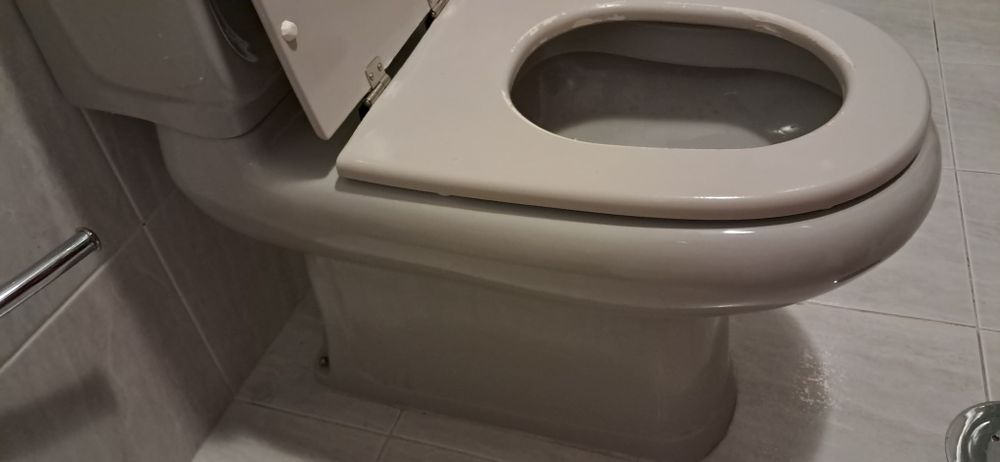 Sanita + Bidé cinzenta