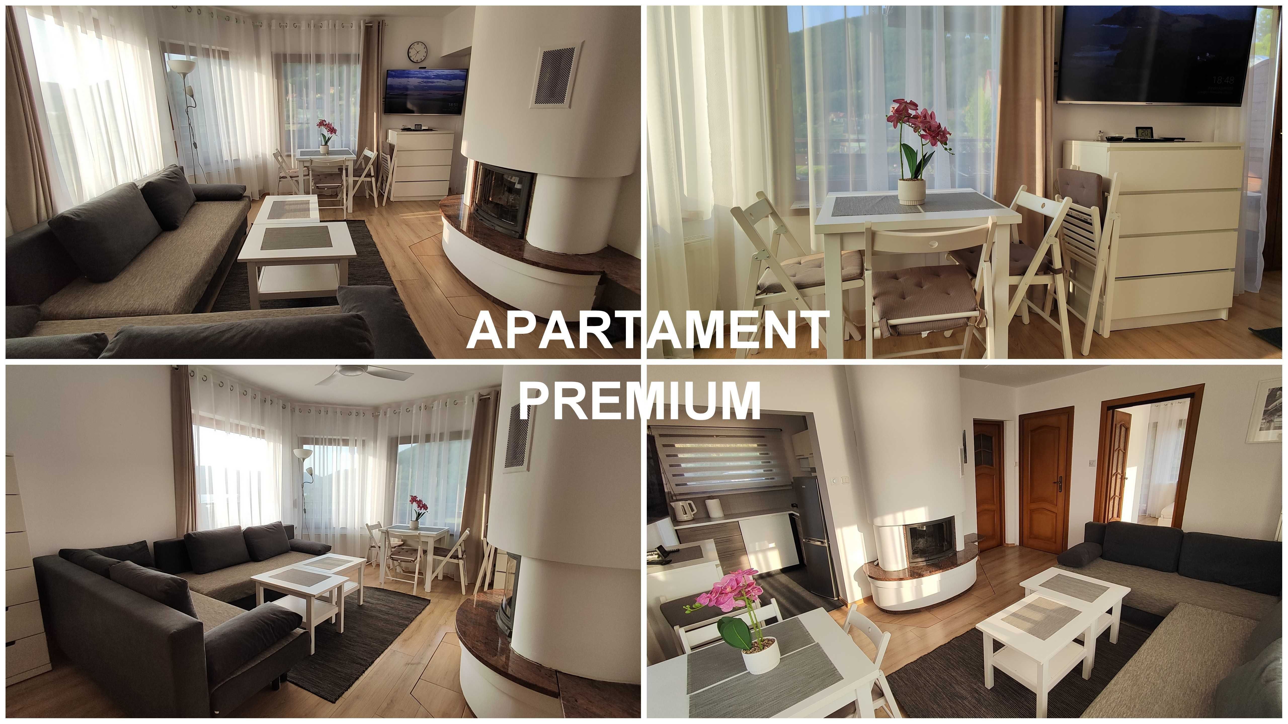 Apartament , kwatery, pokoje, noclegi, góry,  jezioro,  las, żar,