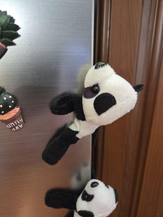 Pandy magnesy na lodówkę.