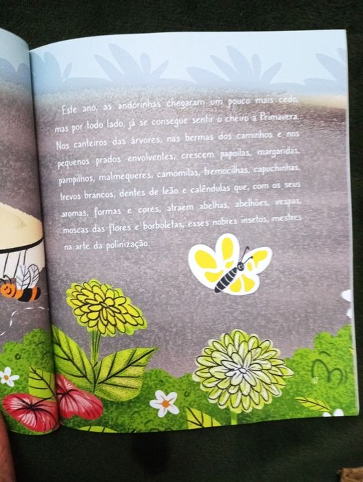 A Rua dos Amados Ladoeiros", de Carla Silva Almeida, 	NOVO