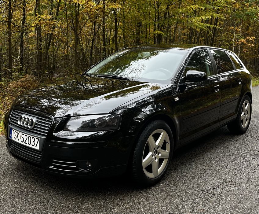 AUDI A3 8P 1.6B MPI 102KM
