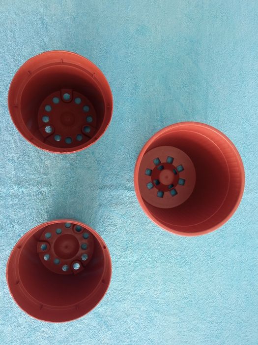 3 vasos para plantas de porte pequeno