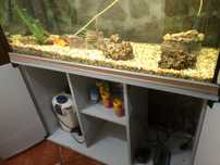 Vendo aquário 120/0.50 com movel de 1.47 de altura