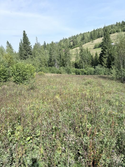 Земельна ділянка Славсько