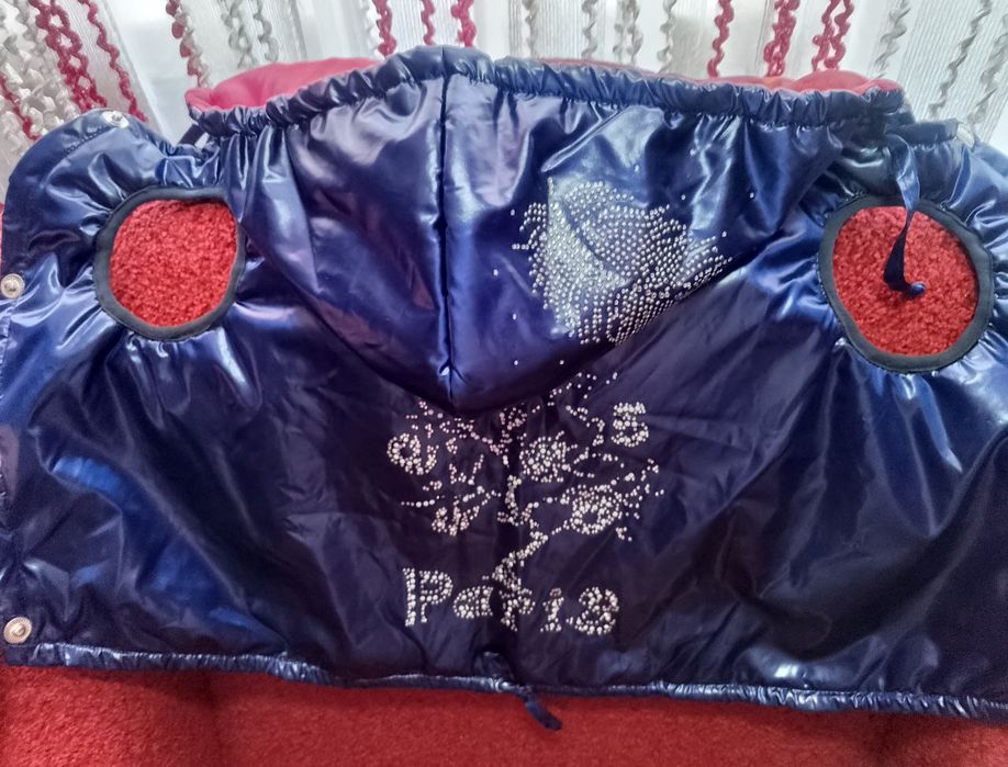 Одяг для собак та котів