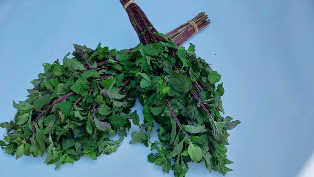 Віники для бані(лазні)+ Віники з лікарських трав (10 видів)