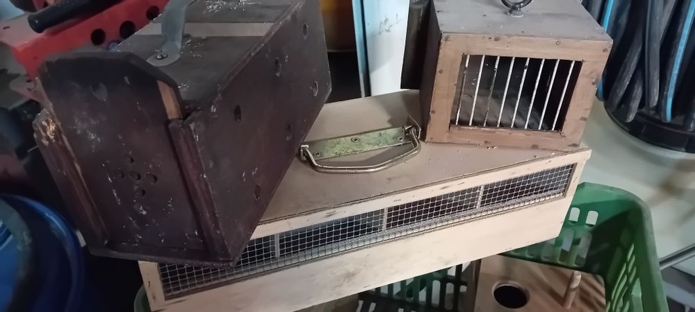 Transportadora de pássaros/ Pombos