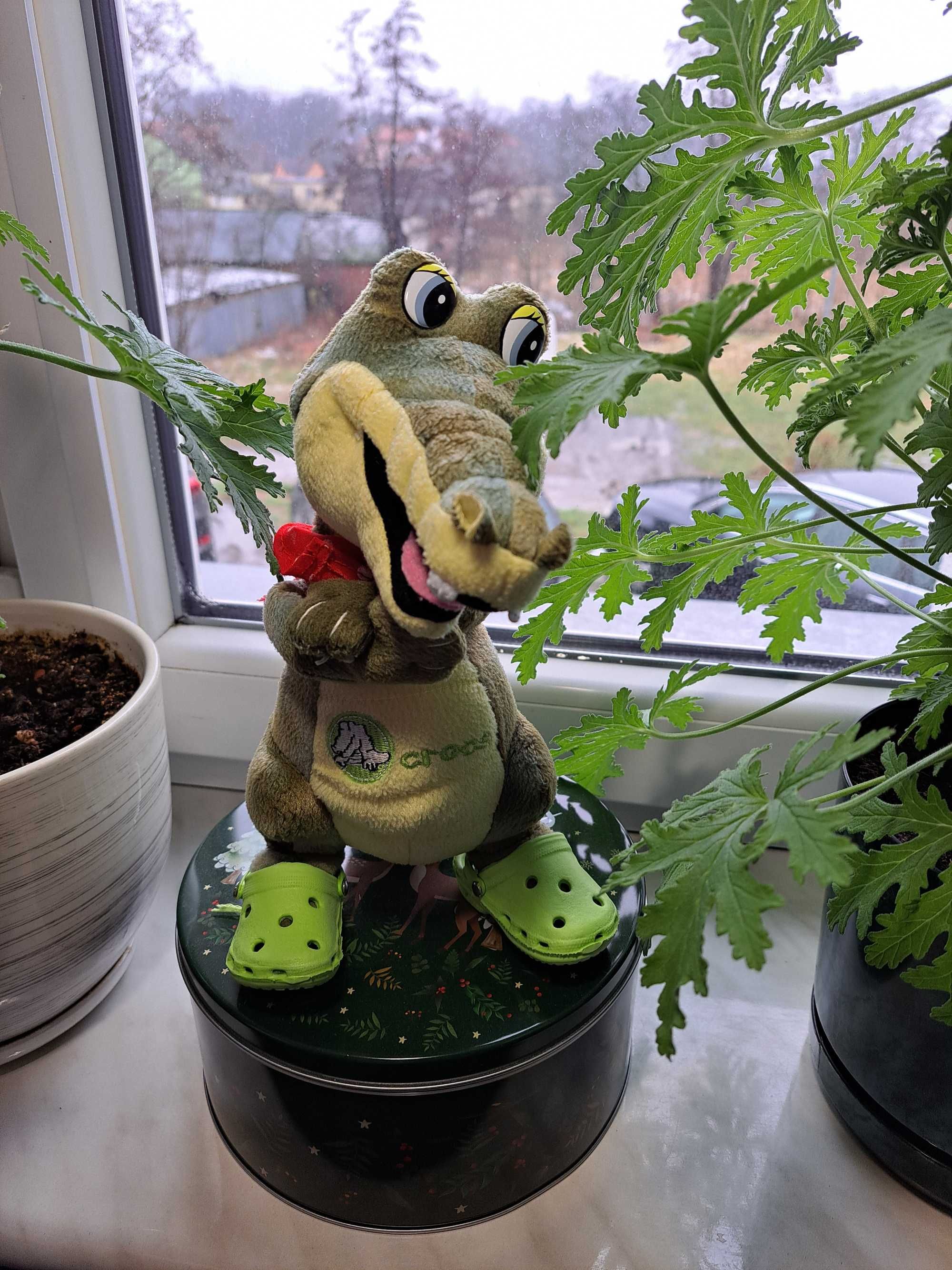 Pluszowy krokodyl w crocsach. Flos Toys.