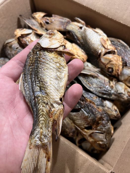 Печений карась сушений карась до пива тарань