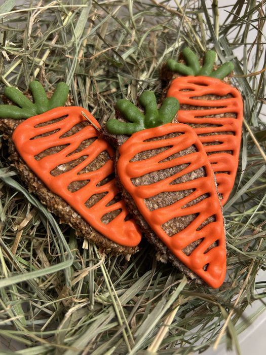 Ciastka dla koni - 3 sztuki