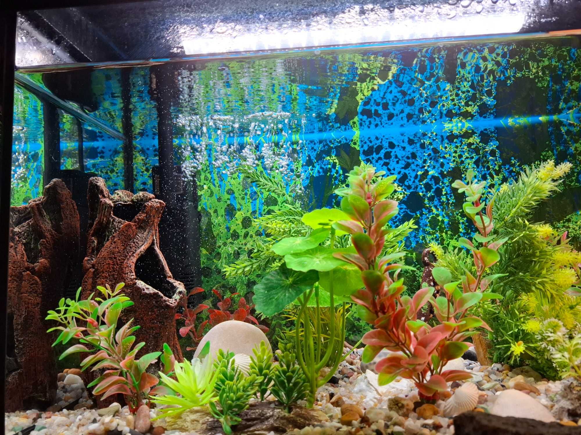 Vendo aquário com luz de 50 L impecável