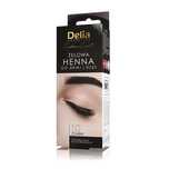Delia Eyebrow Expert żelowa henna do brwi i rzęs 1.0 Czerń 15ml