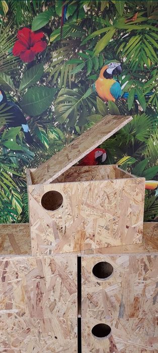 Budki lęgowe dla ptaków papug średnich budka legowa