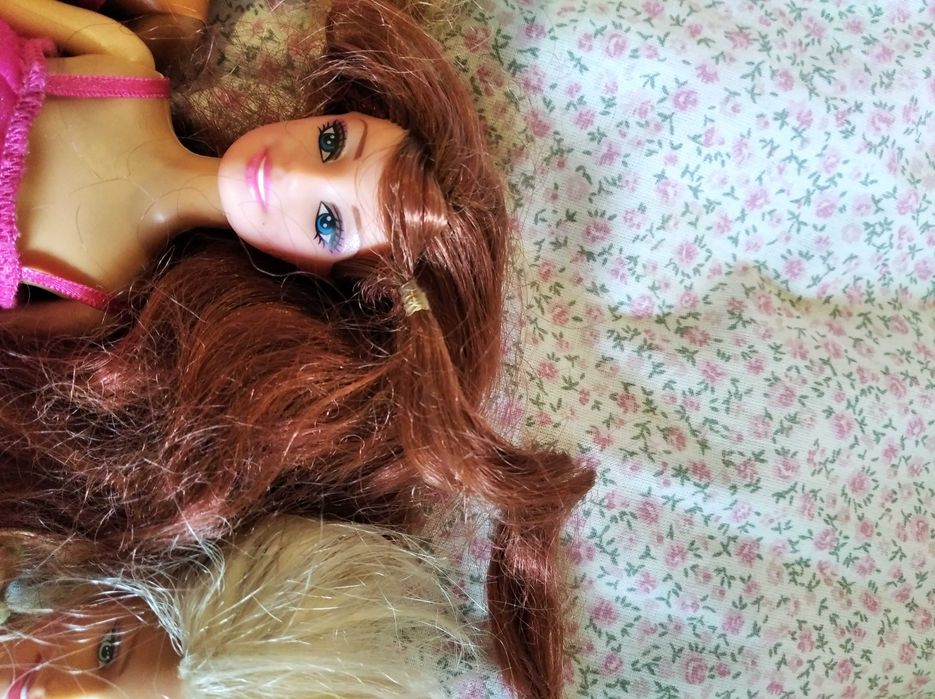 Bonecas e guarda fatos da Barbie