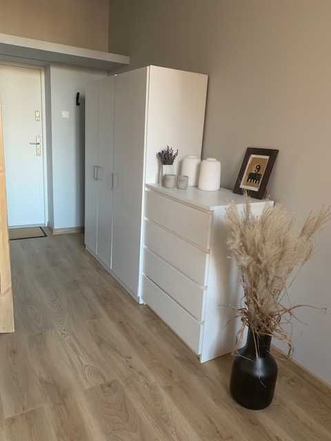 Wynajmę kawalerkę w centrum Łodzi