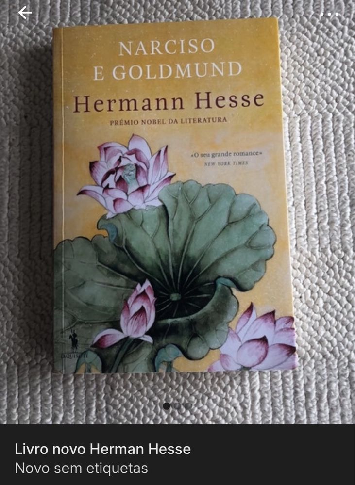 Hermann hesse - narciso e goldmund