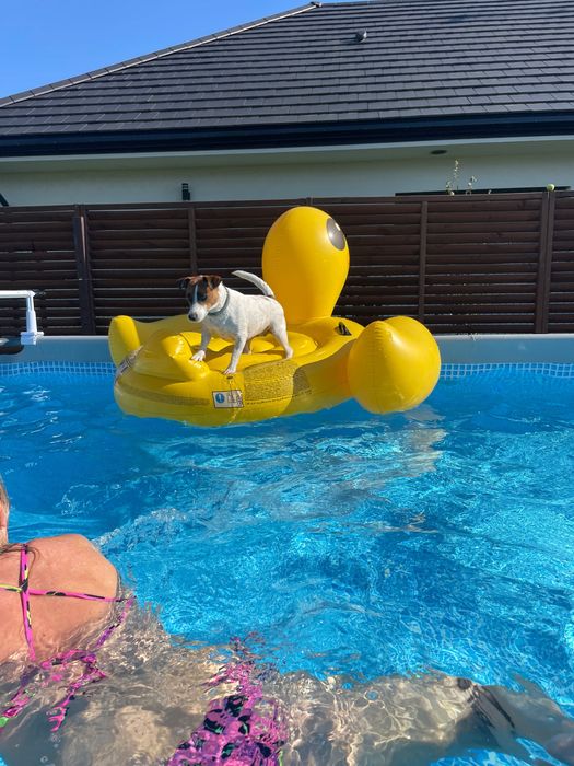 Basen Ultra XTR Rectangular Frame 7,32 m x 3,66 m x 1,32 m