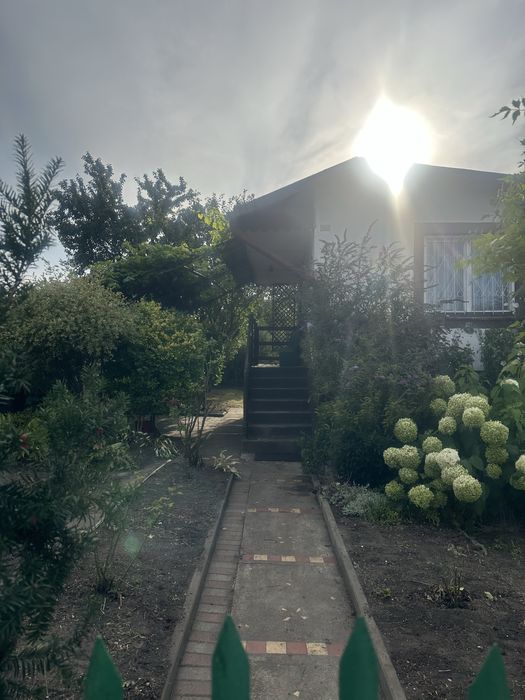 Działka z murowanym domem ROD Aster Łódź