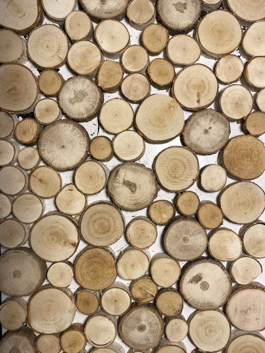 Plastry podkładki dekoracja np na ściane, podłoge brzoza, dąb