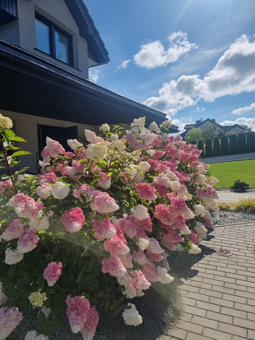 Olecko komfortowy 6 osobowy  apartament (ok. 100 m2) nad jeziorem.