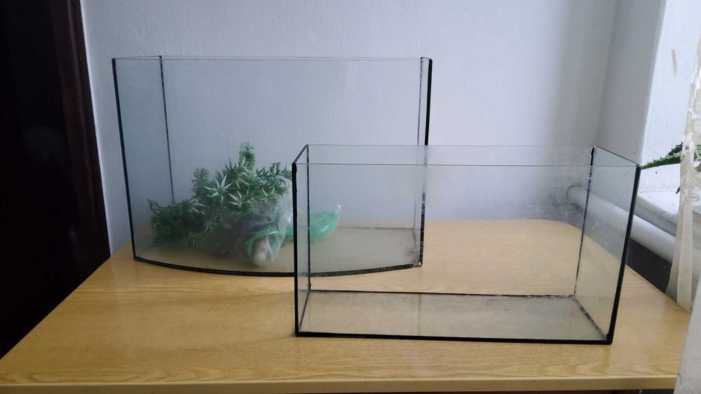 Акваріум для риб, скло
