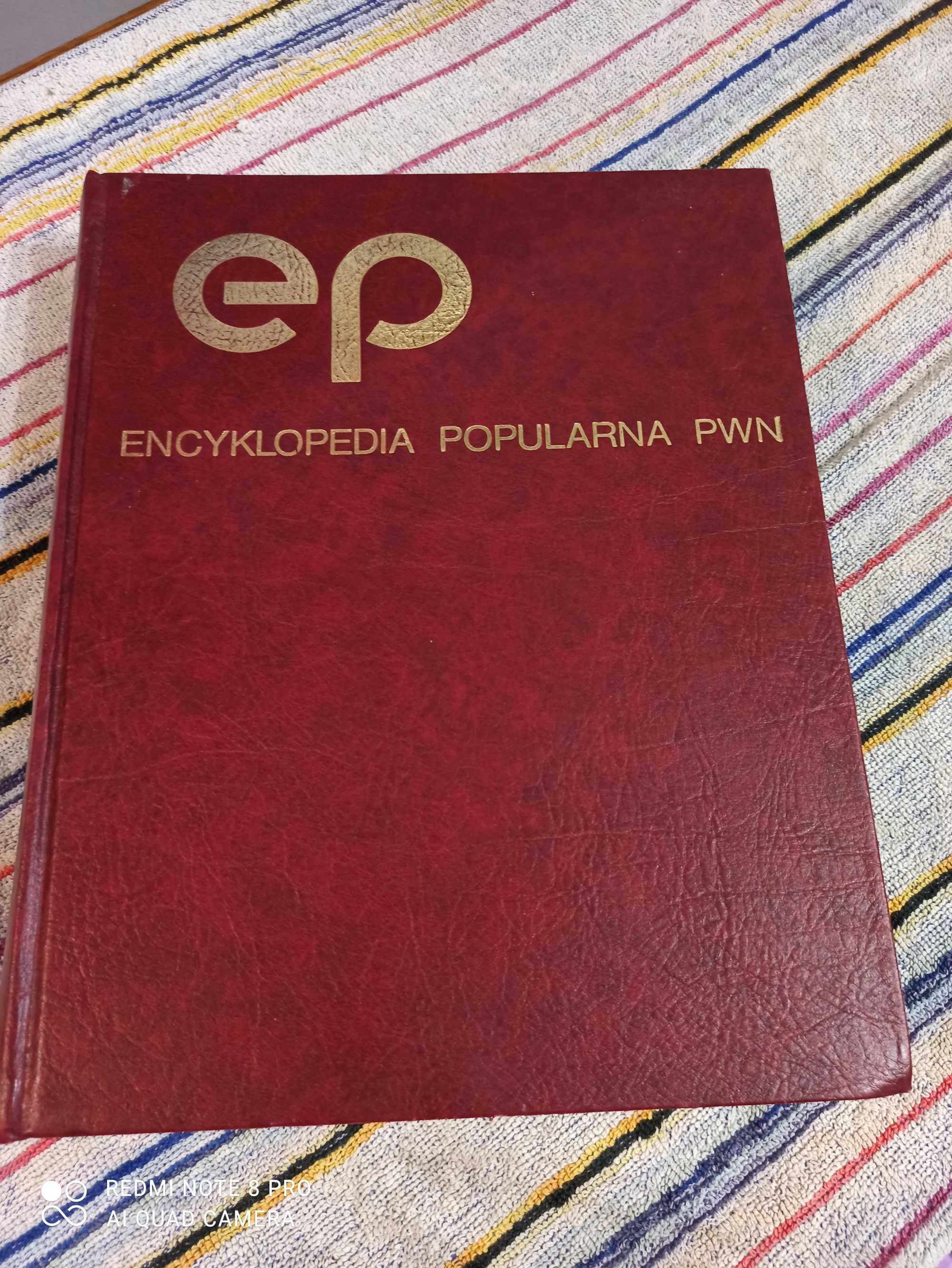 Encyklopedia Popularna PWN czerwona