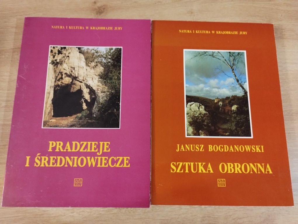 2x Nauka i kultura w krajobrazie Jury Pradzieje i średniowiecze Sztuka