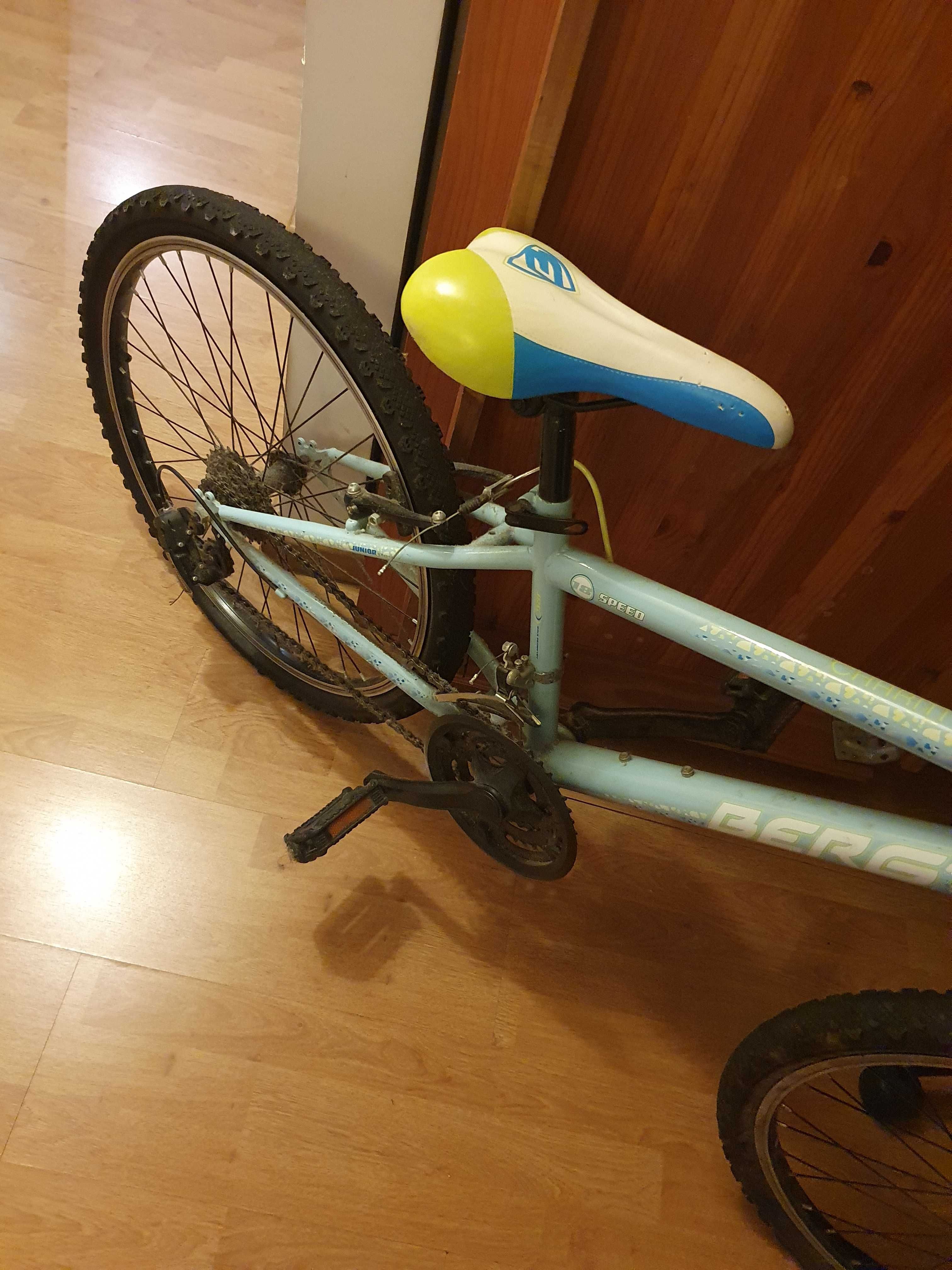 Bicicleta da sportzone