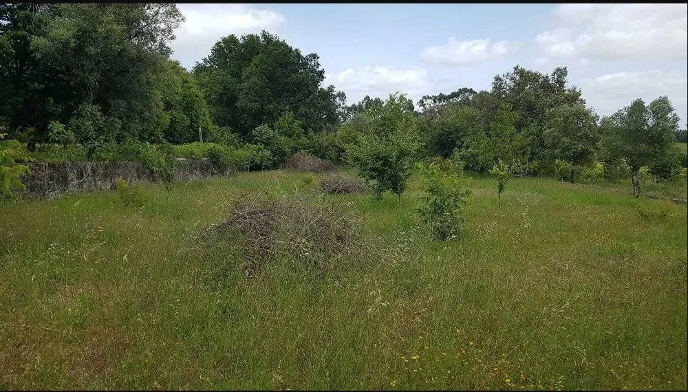 Vendo terreno (construção) murado em Friestelas - Ponte de Lima