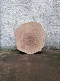 Rodela de Sobreiro, fatia de tronco de madeira