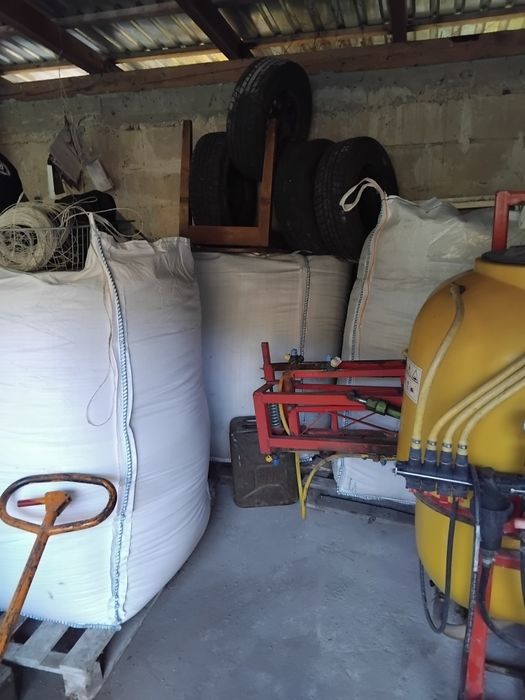 Pszenica zbiór 2025