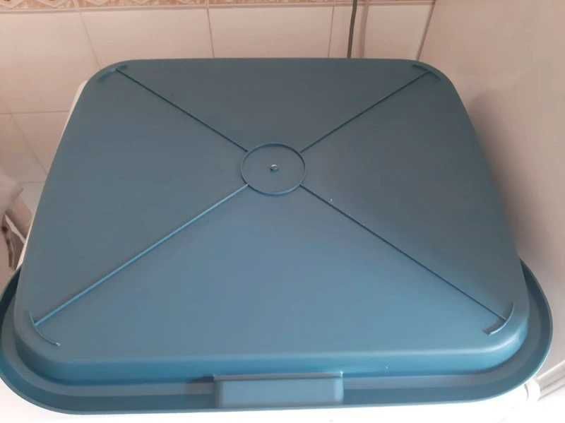 WC de  treinamento para cães