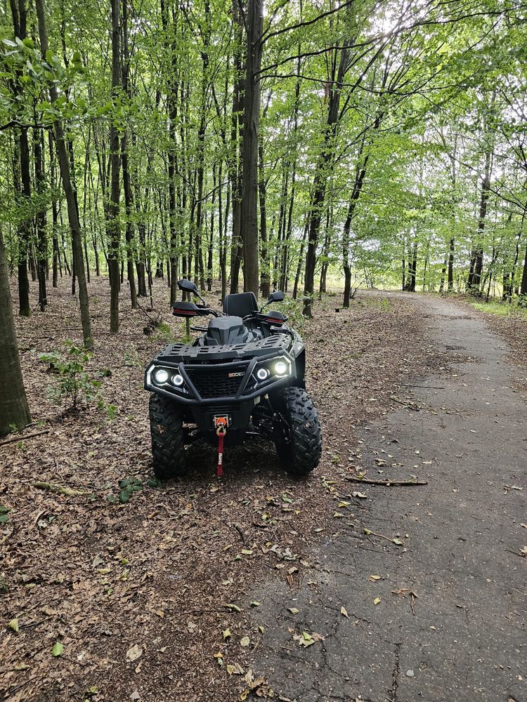 Wynajem quadów Odes 650