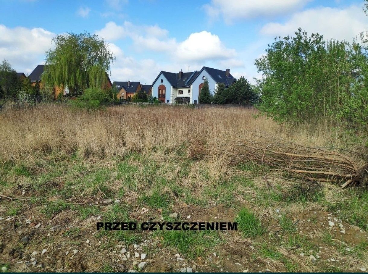 Wycinka drzew, czyszczenie działek, rębak