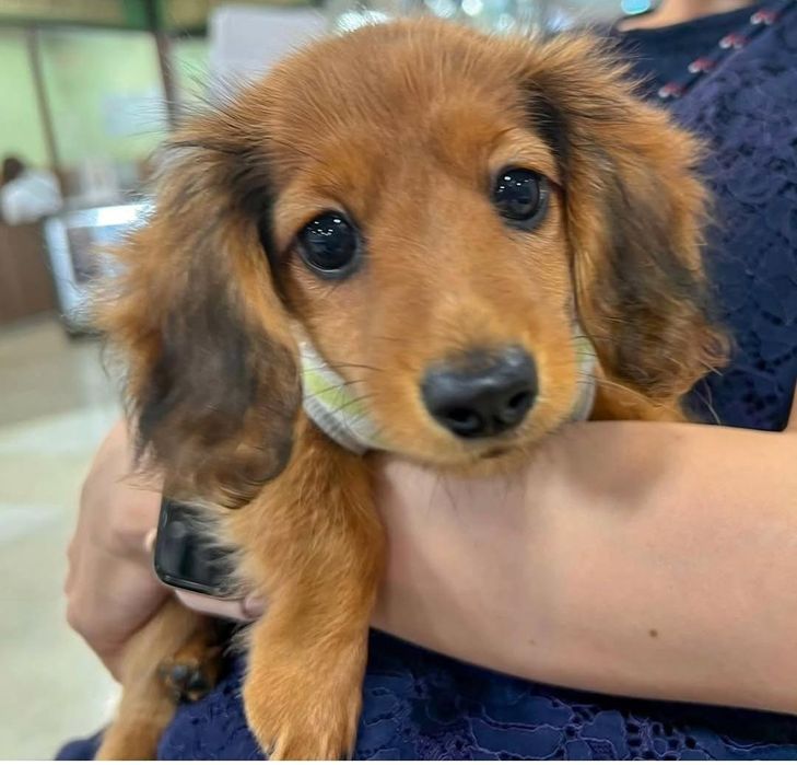 Дитина з хорошим люблячим характером.