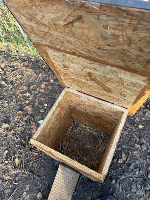 Budki legowe dla kaczek