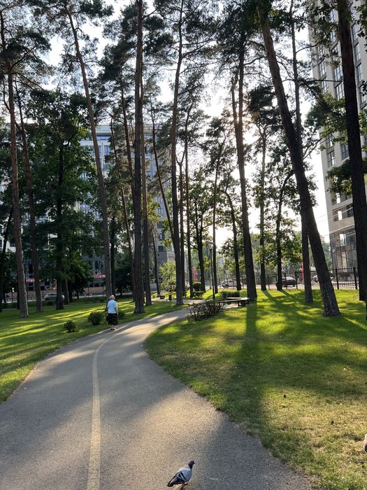 Ірпінь, 500 м вул. Соборна, центр міста, канікули на ремонт 7 місяців