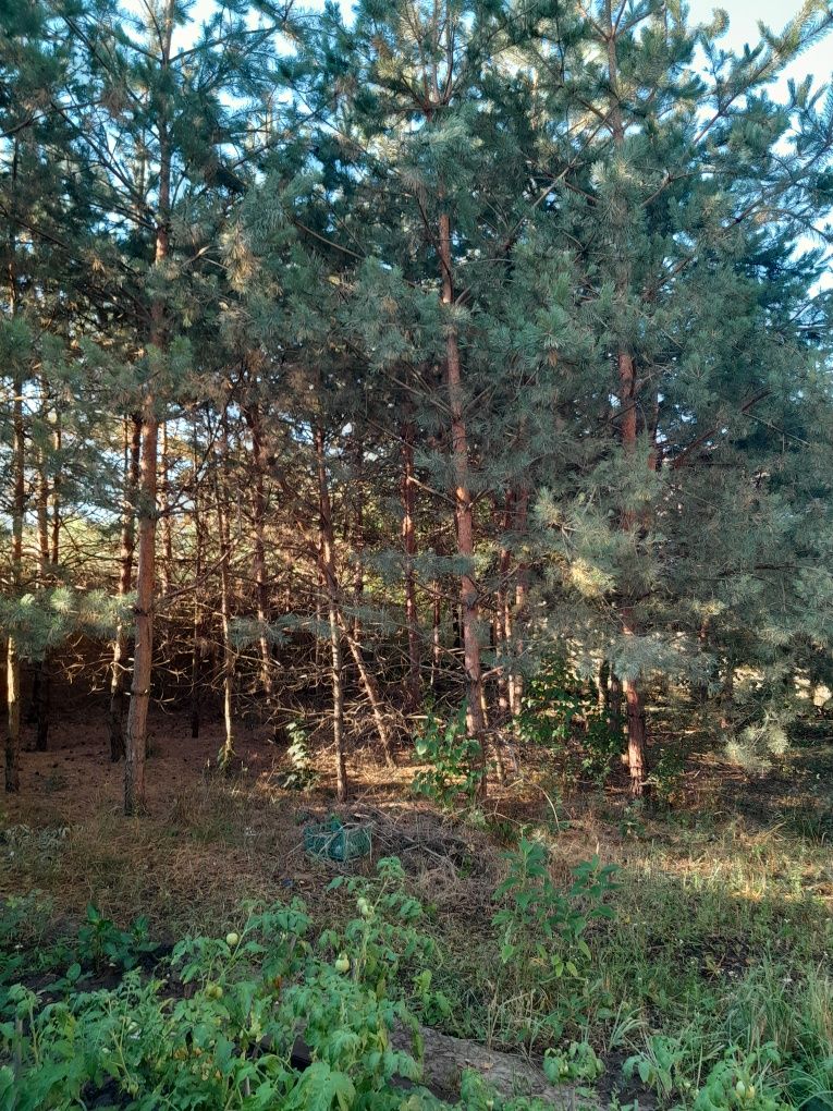 Дом в пригороде Днепра