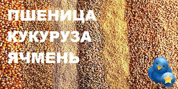 Продам Пшеница, Кукуруза, Ячмень