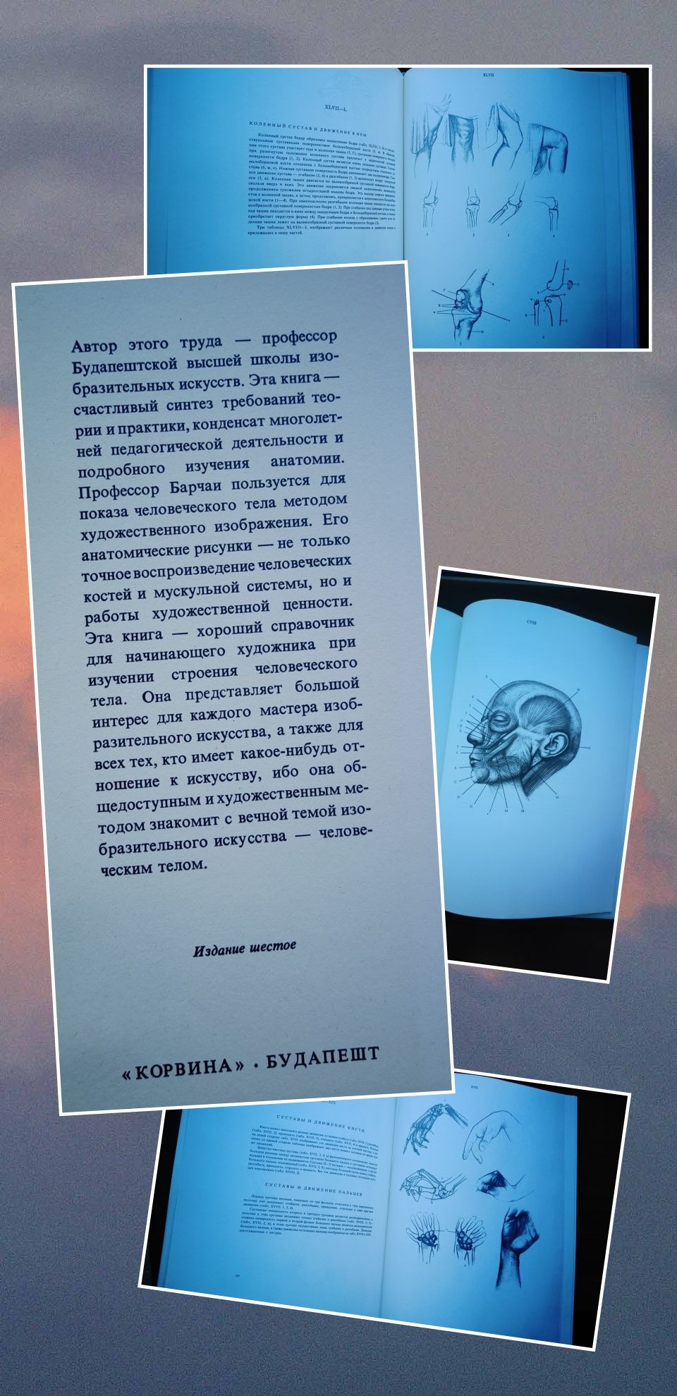 Йене Барчаи. Анатомия для художников. Издательство - Корвина. Будапешт
