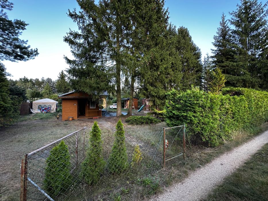 Działka ROD Elektron, Szczaki