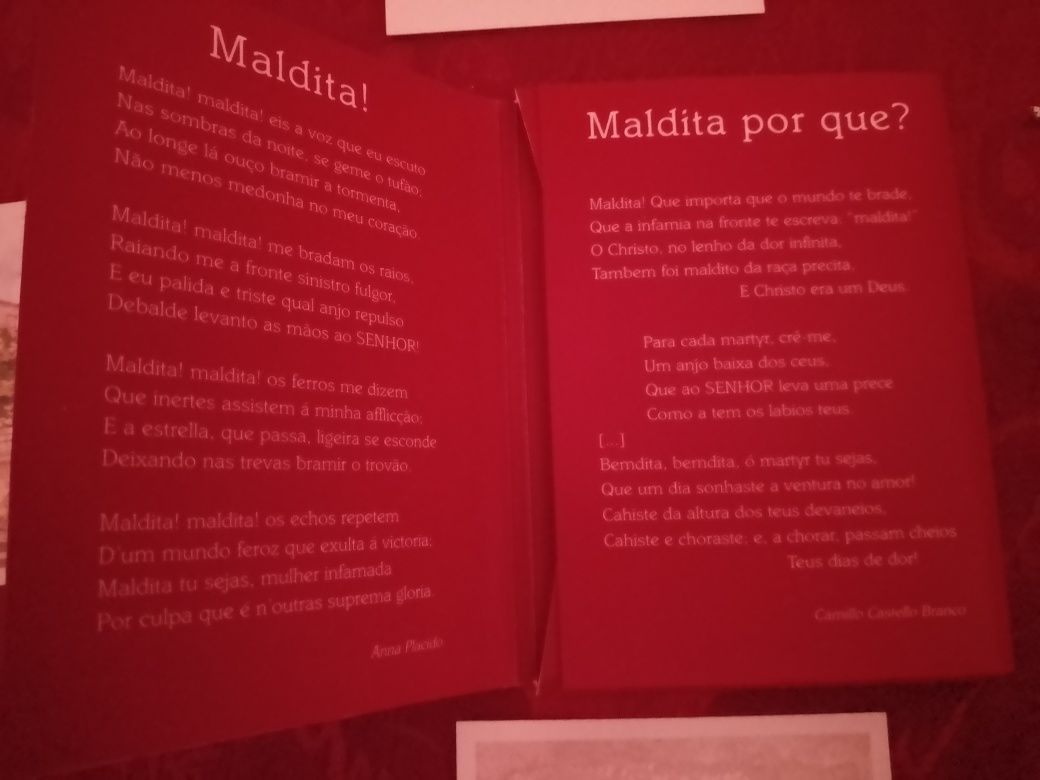 Ana Placido-20 Postais-Casa de Camilo15E-Sapatos N25 Brancos5E Desde5E