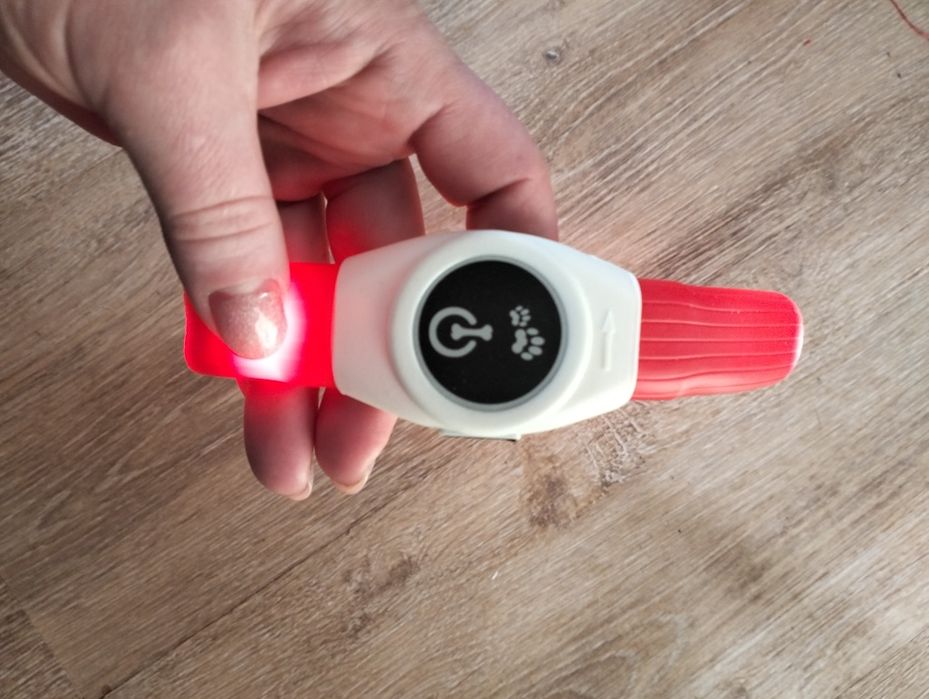 Светящийся ошейник для собак от usb