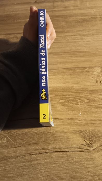 Livro "Uma aventura nas férias de Natal"