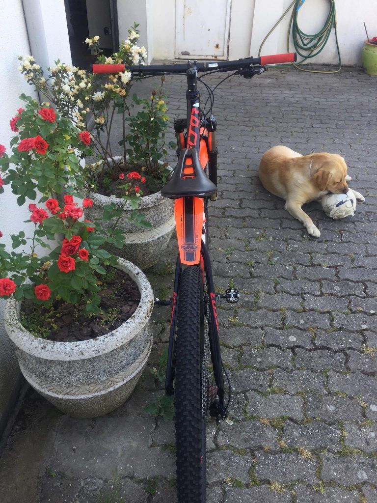 Bicicleta de montanha